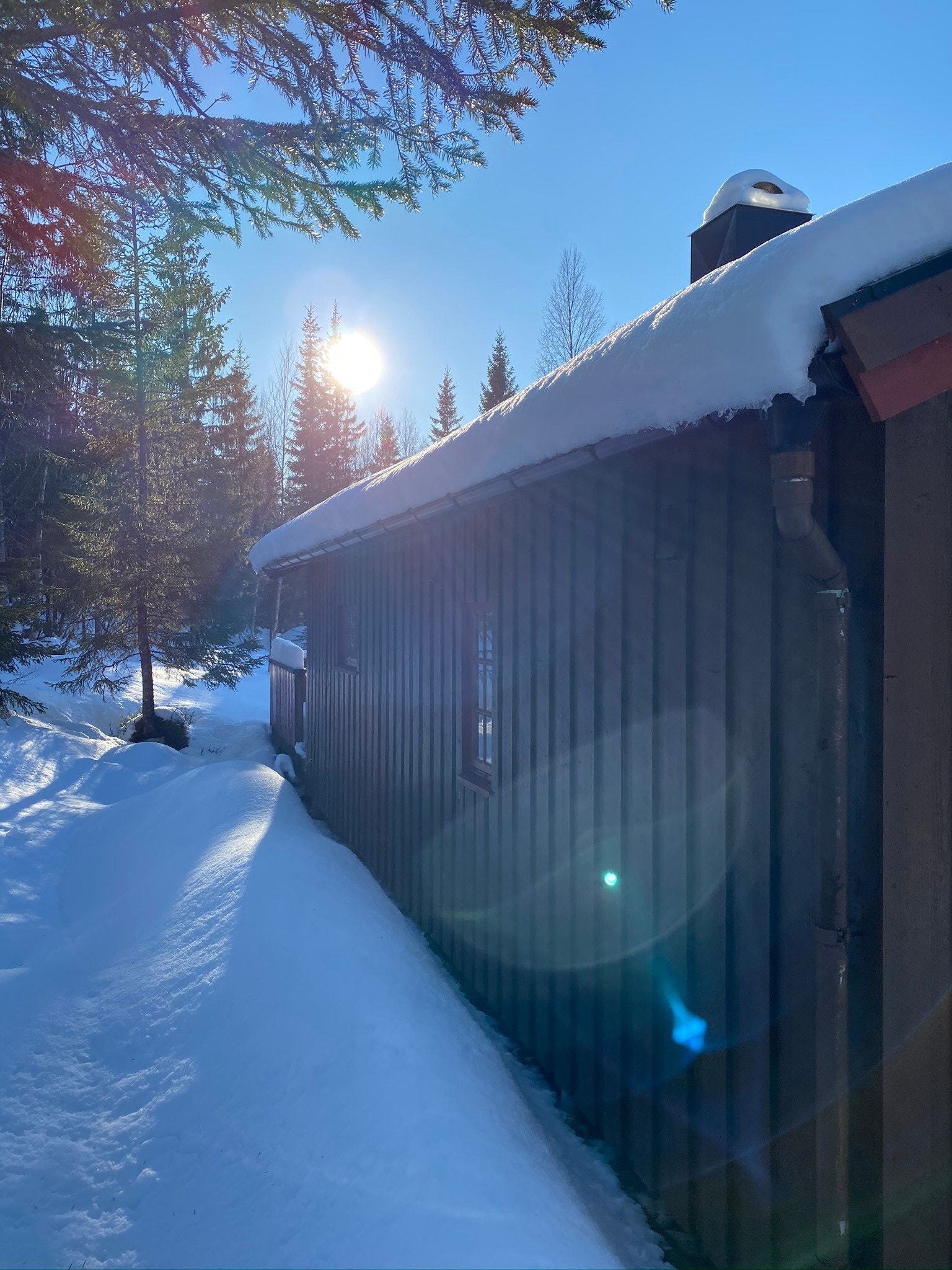 Hytta ovenfra fra nord Galleribilde