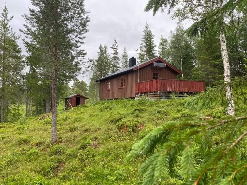 Bilde fra sør Galleribilde