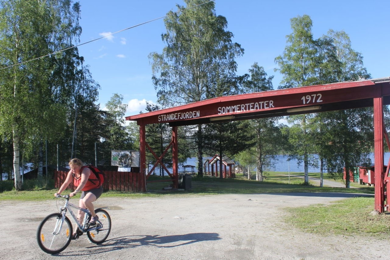 Strandefjorden Galleribilde