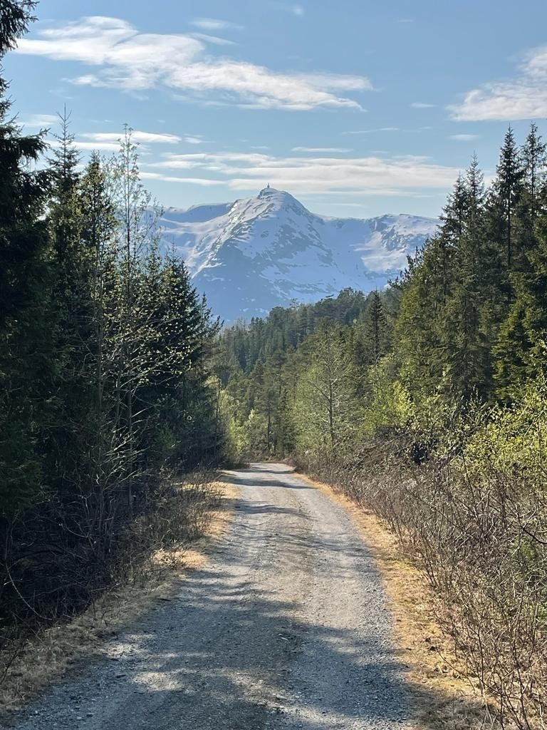 Tur i nærområde Galleribilde