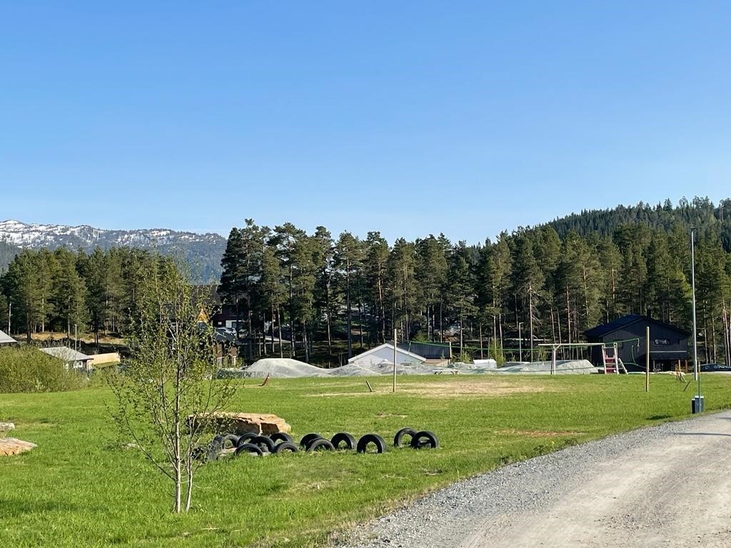 Grasbane i Koladiket Galleribilde