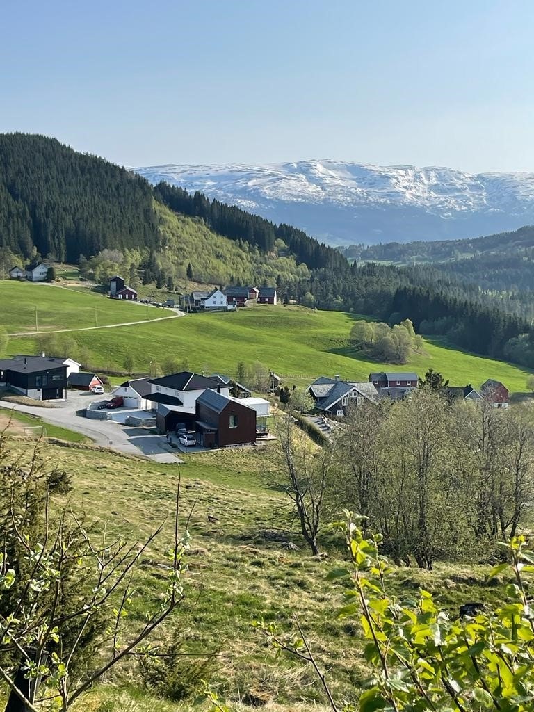 Hadlingen Galleribilde