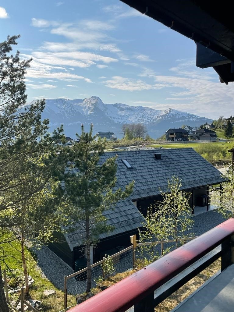 Hus i Koladiket Galleribilde