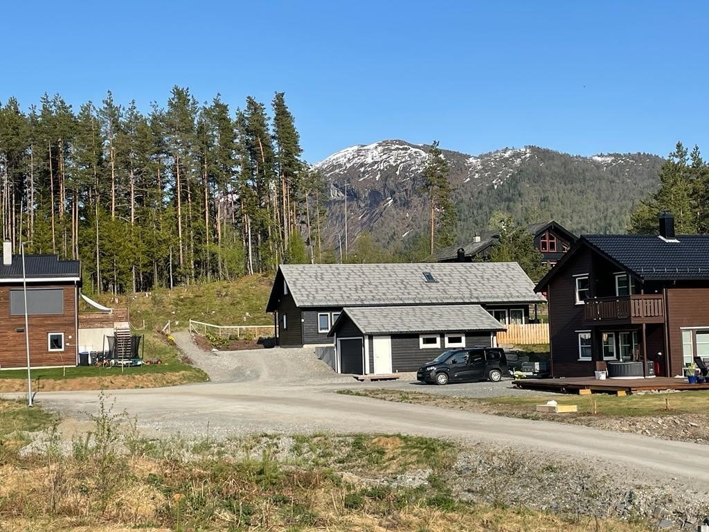 Koladiket Galleribilde