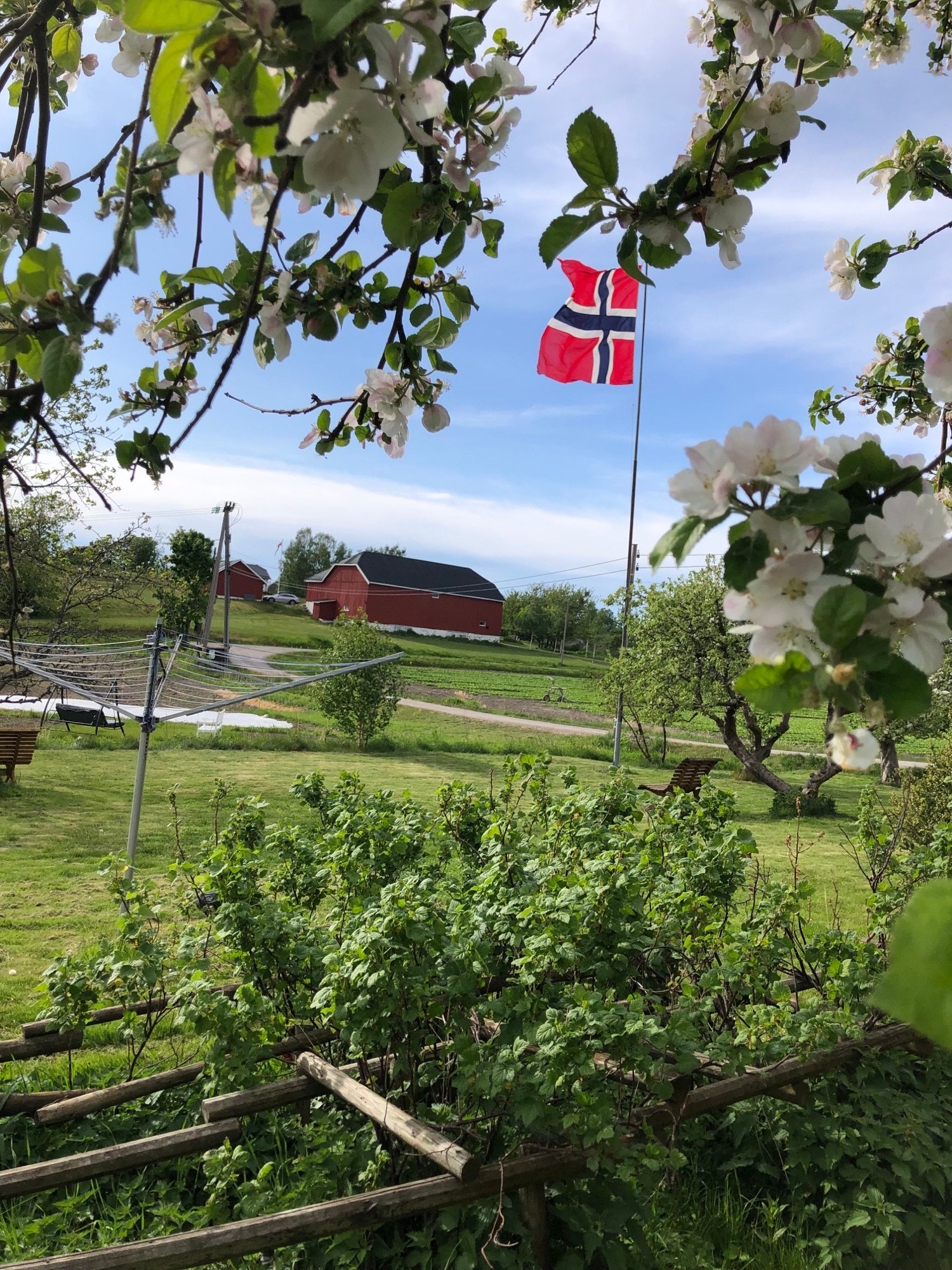 Litt av omgivelsene sett fra hagen Galleribilde