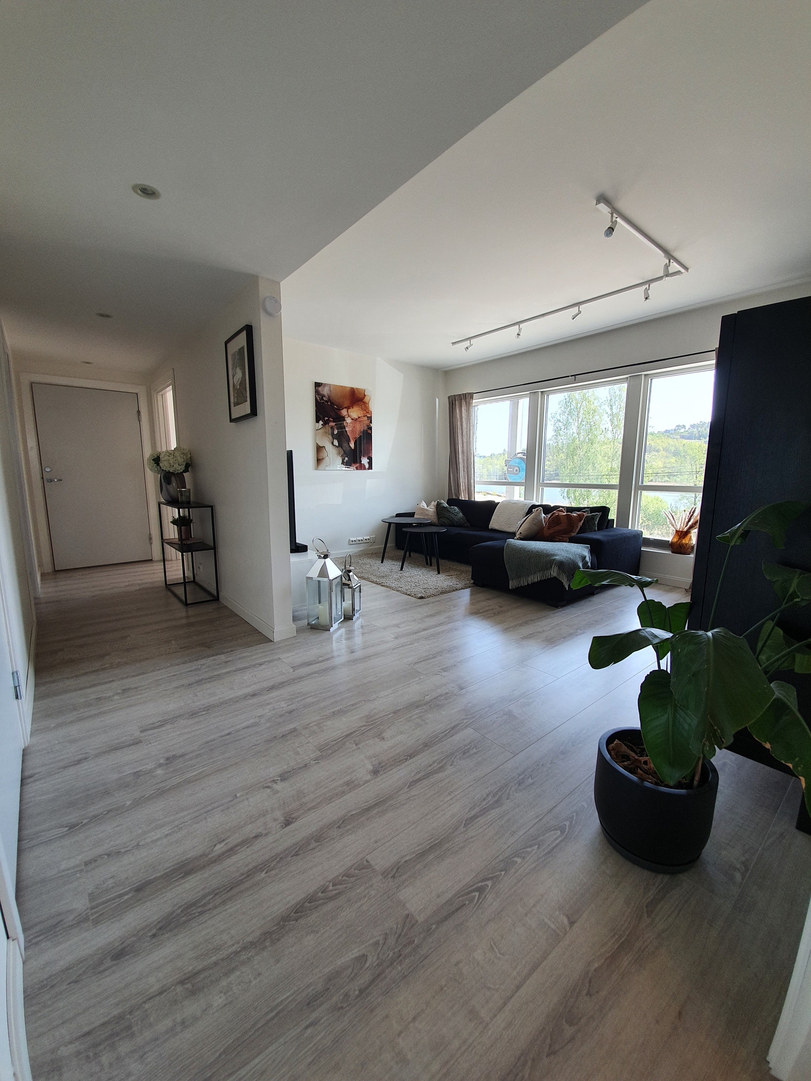 Stue og inngang soverom Galleribilde