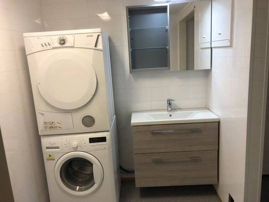 Bad med vaskemaskin og tørketrommel Galleribilde