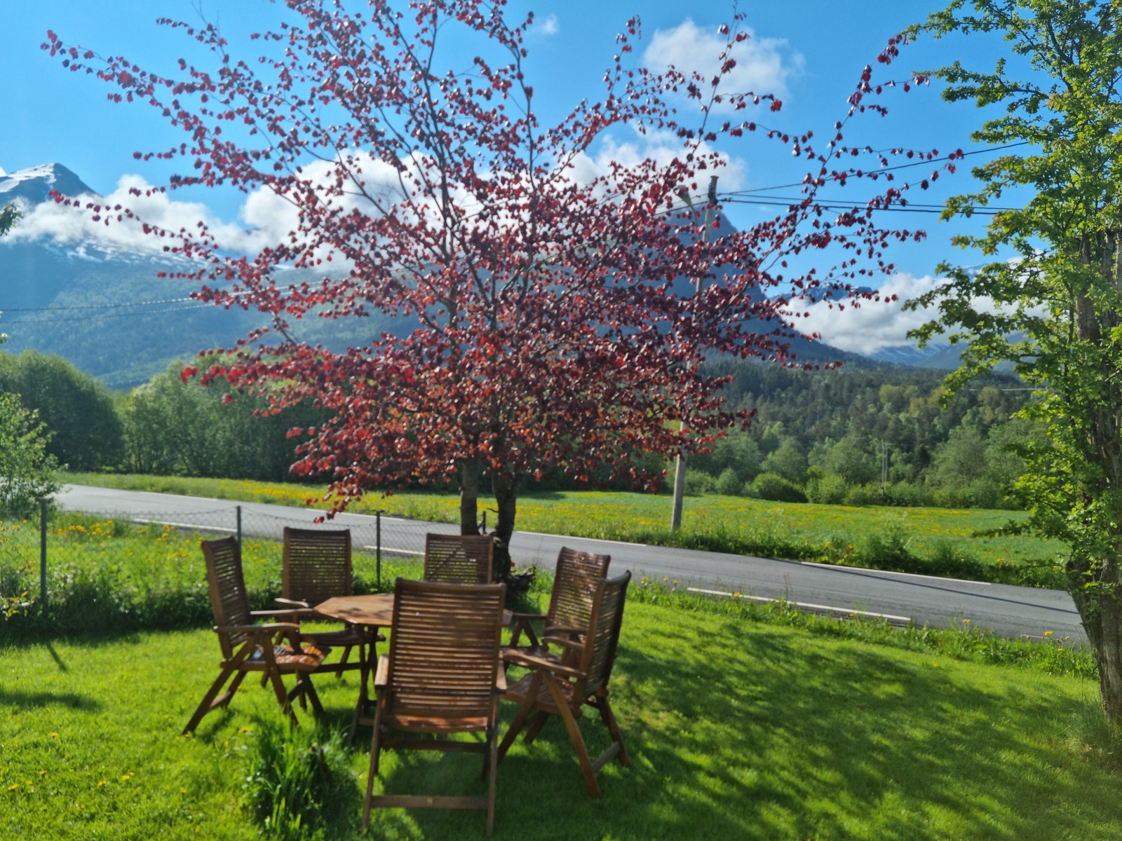 Uteområde. Galleribilde