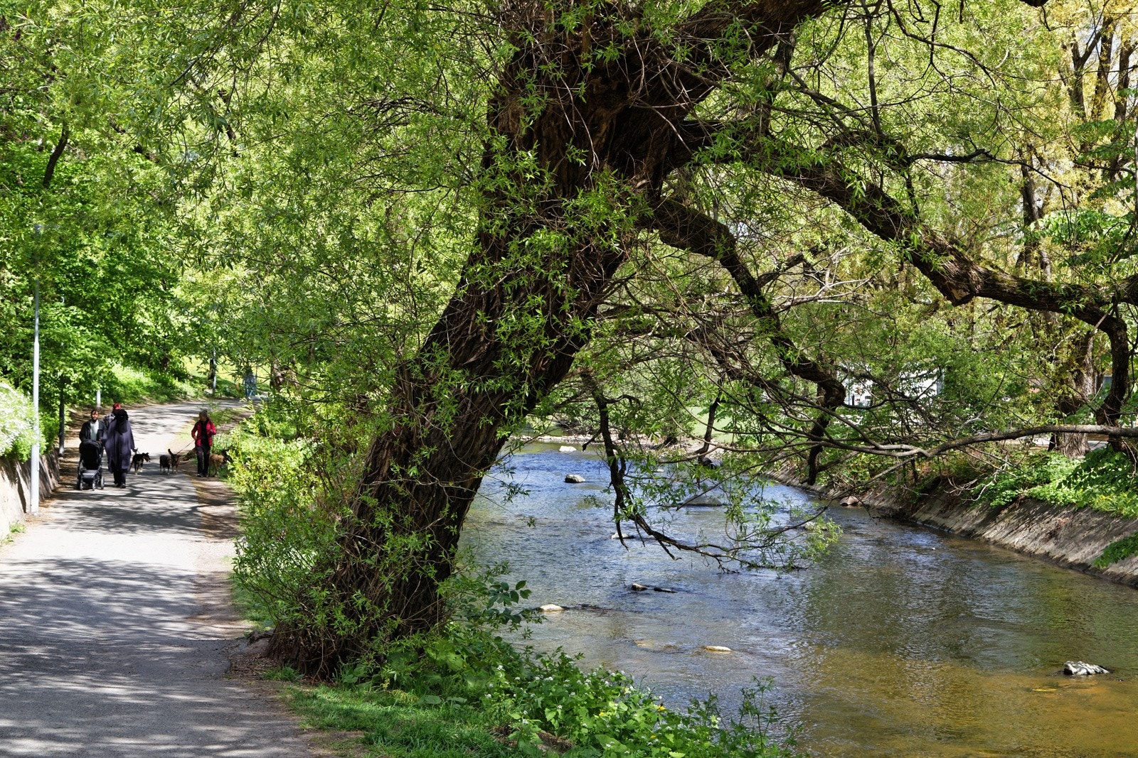 Koselige turmuligheter i området Galleribilde