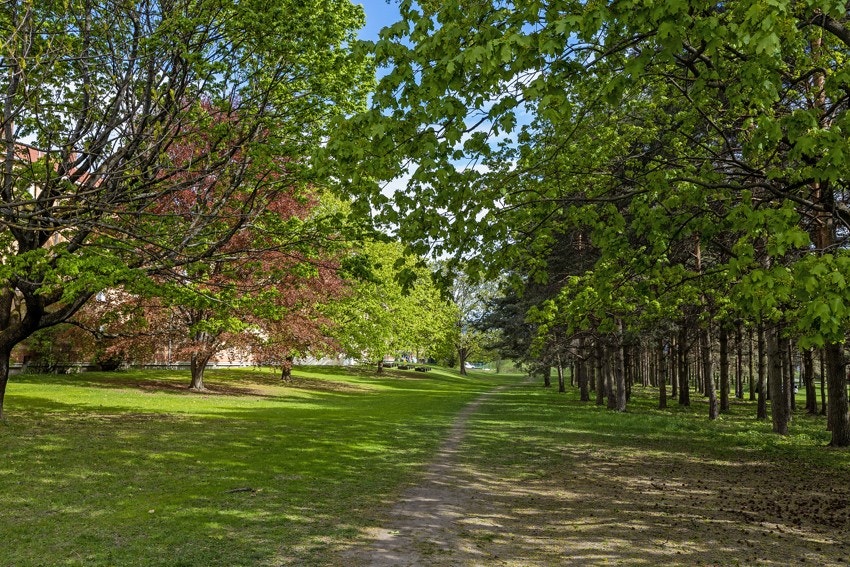 Nærområdet - Valle hovin Galleribilde