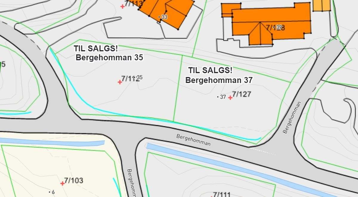 Bergehomman 37 Galleribilde