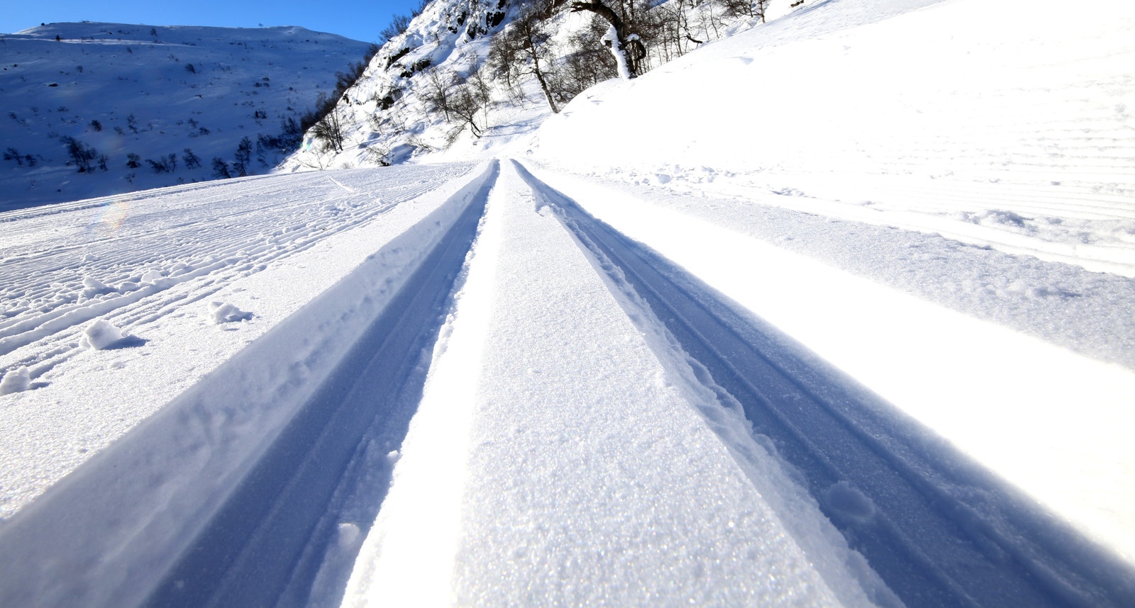 Trikkespor Galleribilde