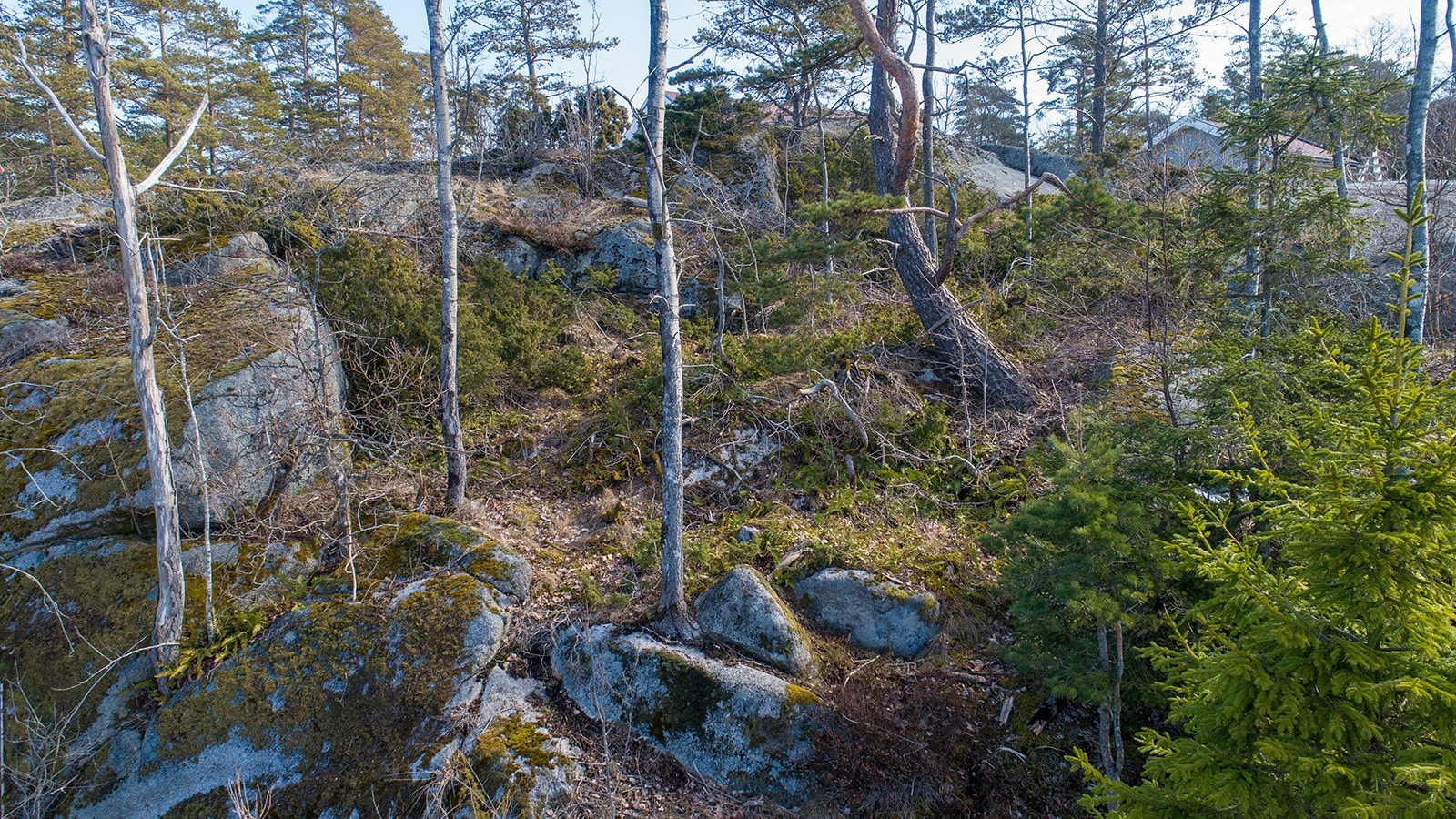 Selgers bilde - kanskje lage en liten sitteplass i fjellhyllen bakerst på tomta? Galleribilde