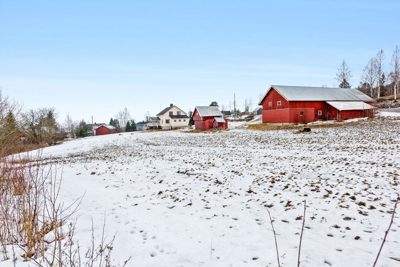 Område Galleribilde