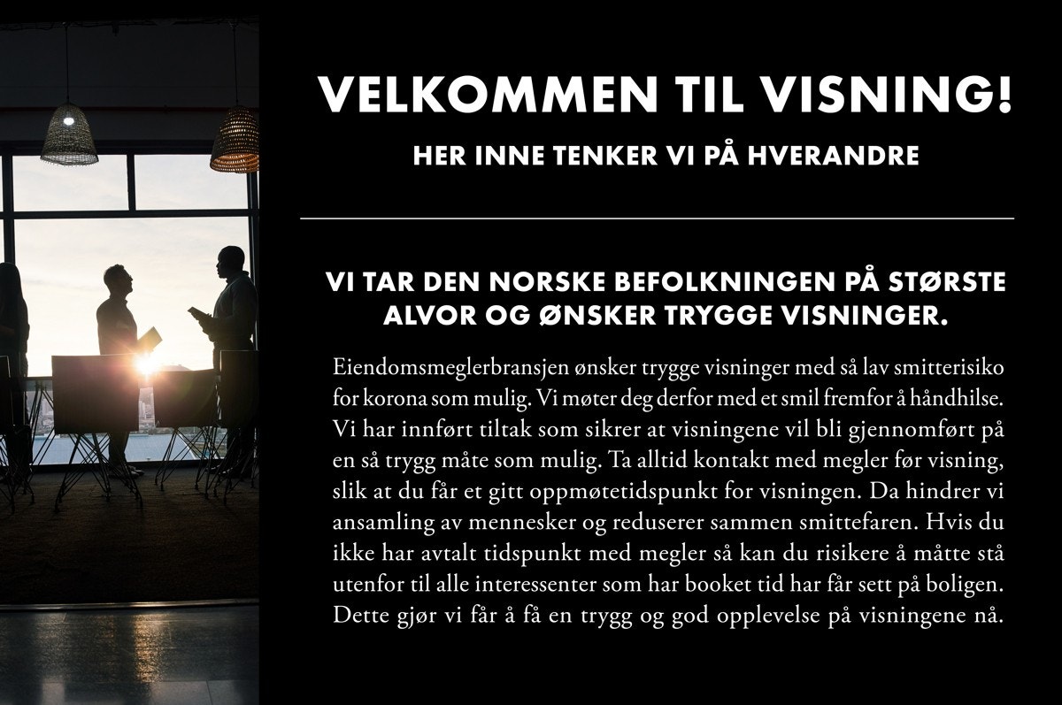 Informasjon vedrørende visning Galleribilde