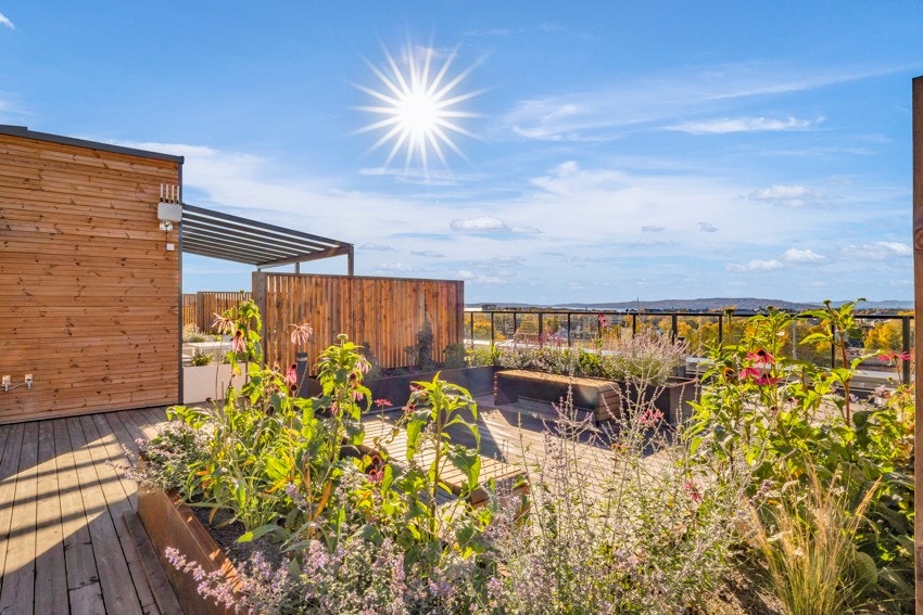 Nydelig felles takterrasse! Takterrassen i Hus A får utekjøkken, utedusj og toaletter. Galleribilde