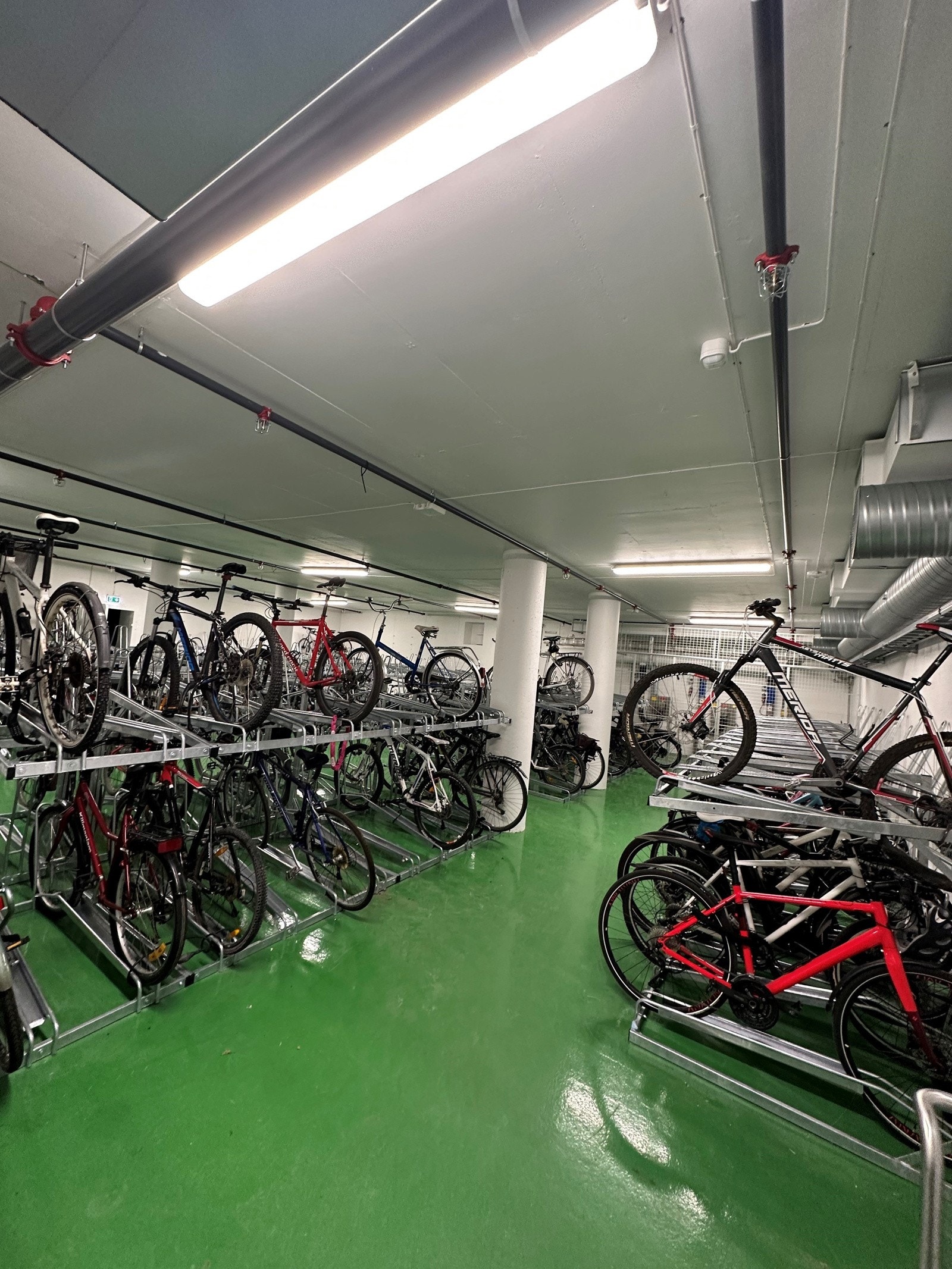 Stor felles sykkelparkering i kjeller. Galleribilde