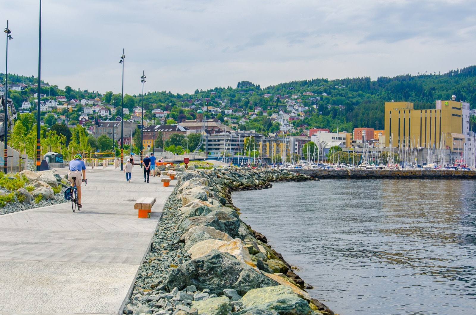 Sjøpromenaden er en populær tursti som tar deg fra Ila til sentrum. Ilevollen 2 kan du skimte til venstre i bildet. Galleribilde