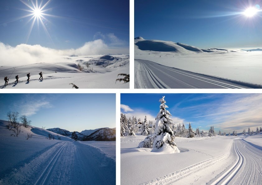Området i seg selv er en del av Jogledalen som strekker seg helt inn til Øyarvatn hvor elva Kvinen har sitt utløp. Galleribilde