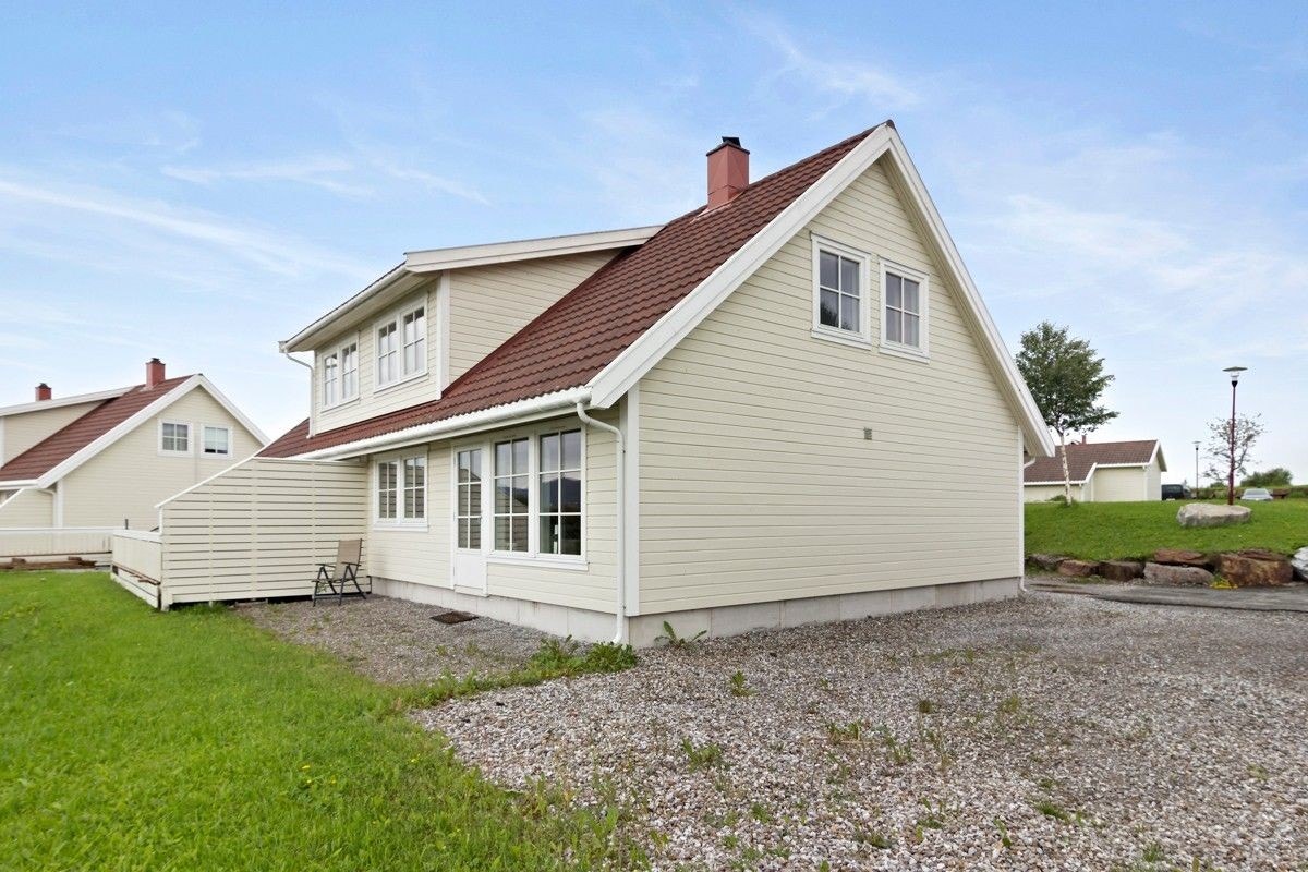 Nært fjære og sjø. Galleribilde
