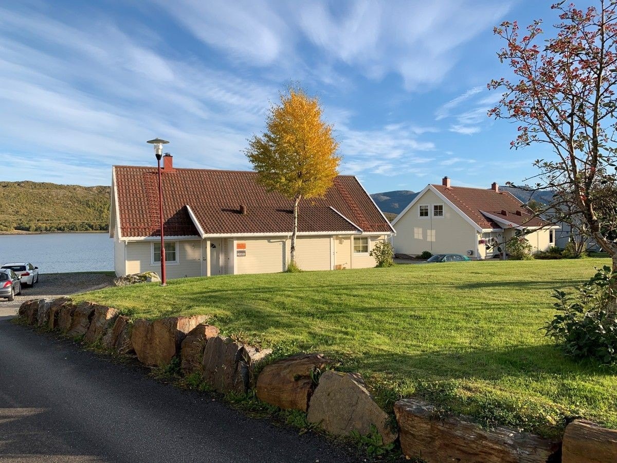Parkering i carport, og på felles oppmerkede parkeringsplasser. Galleribilde