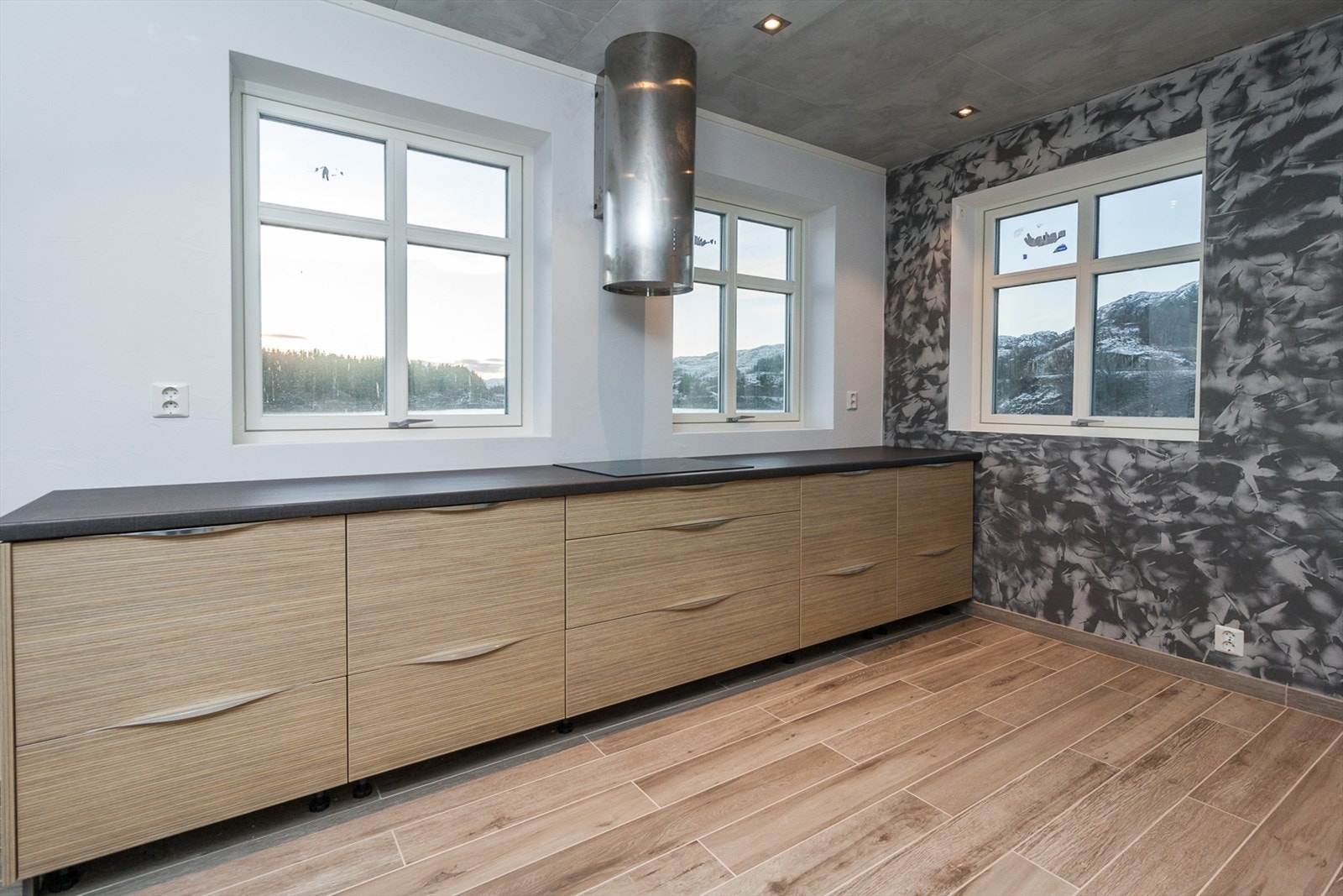 Her medfølger indkusjonstopp og mikrobølgeovn i handelen. Galleribilde