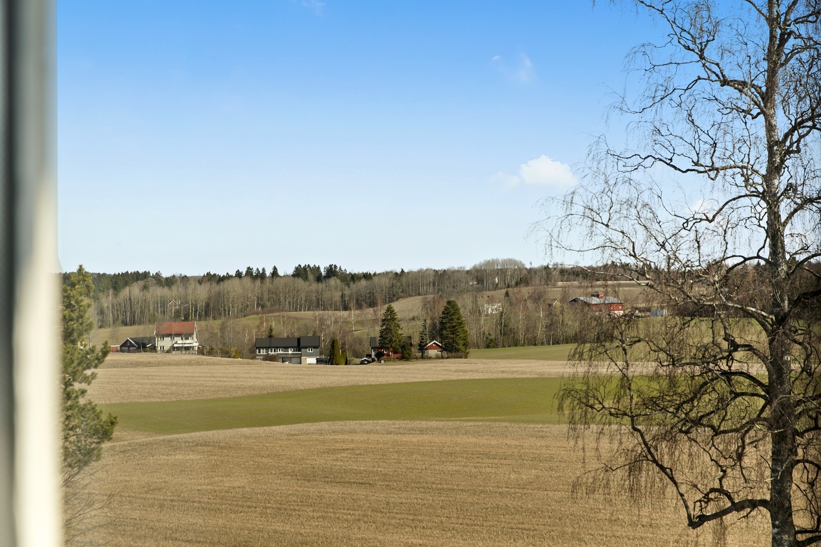 Flott utsikt fra stua. Galleribilde