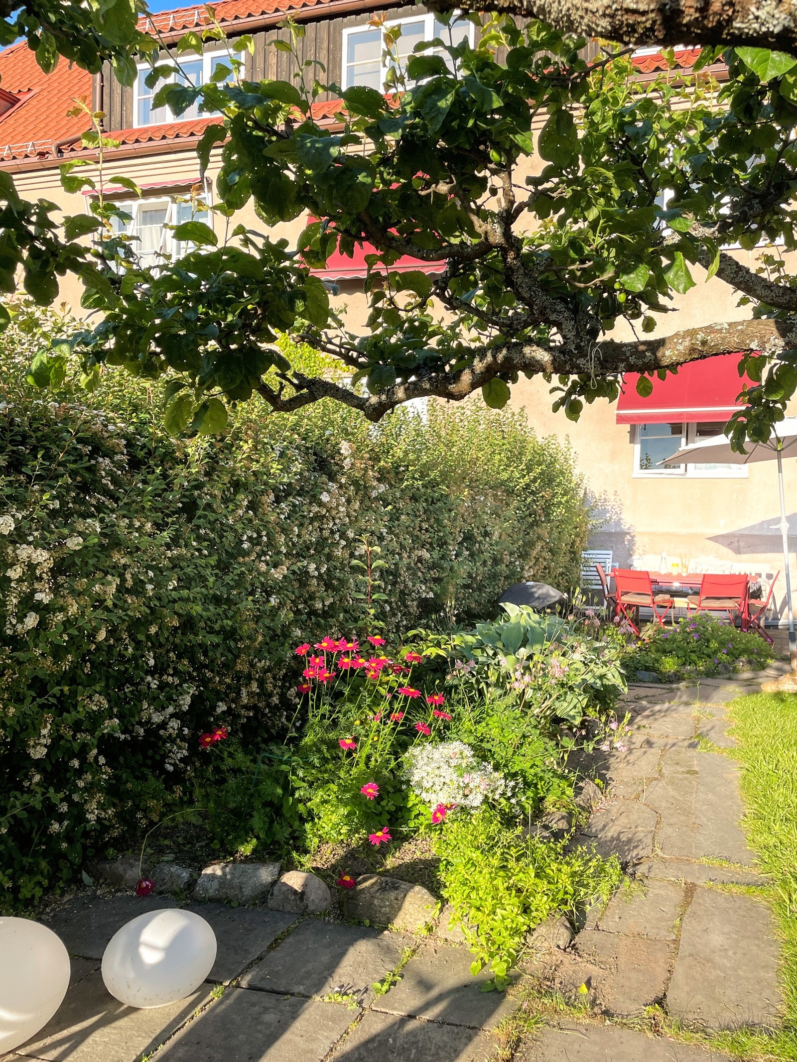 Sommeridyll | Selgers eget bilde. Galleribilde