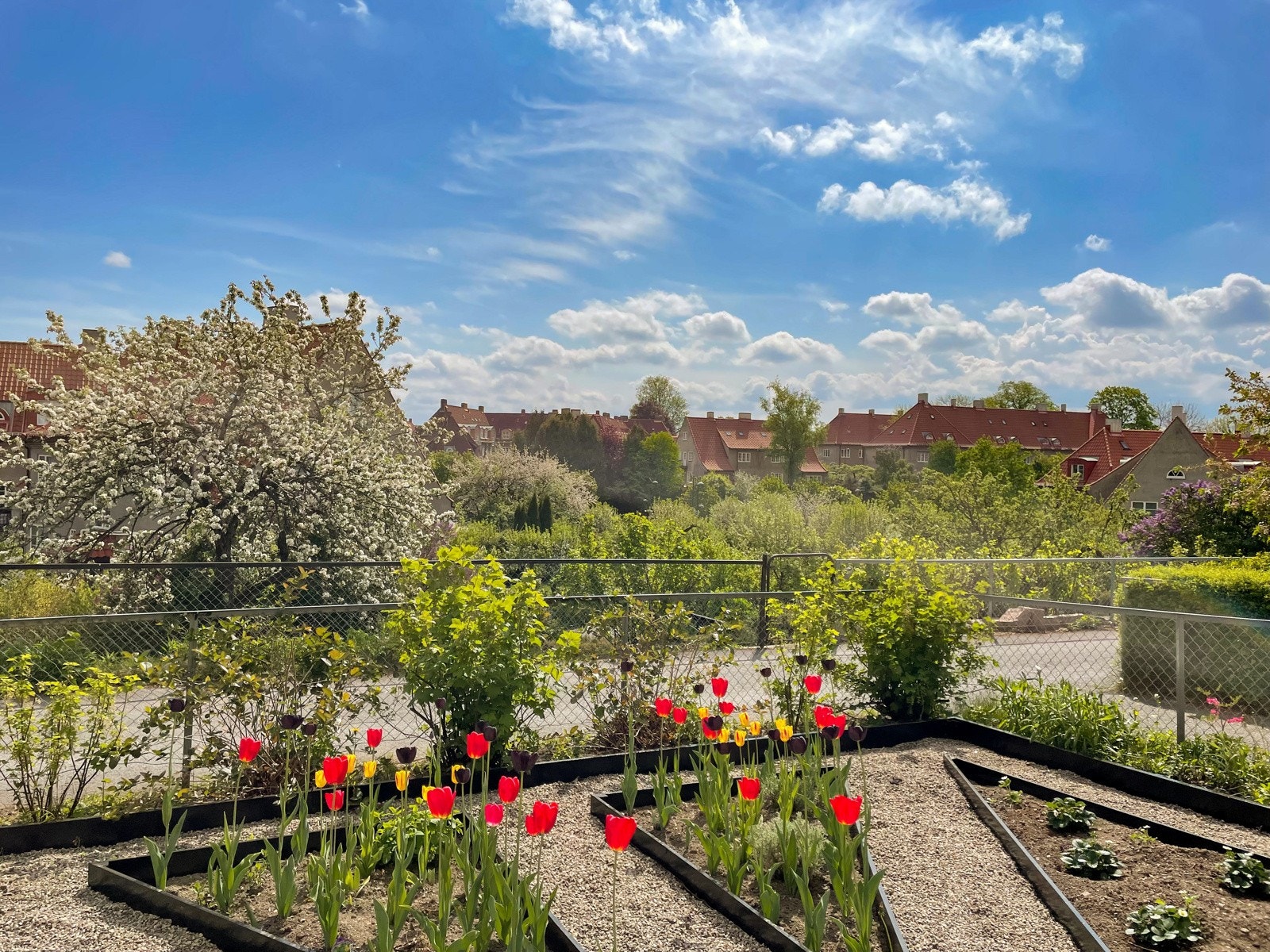 Sommeridyll | Selgers eget bilde. Galleribilde