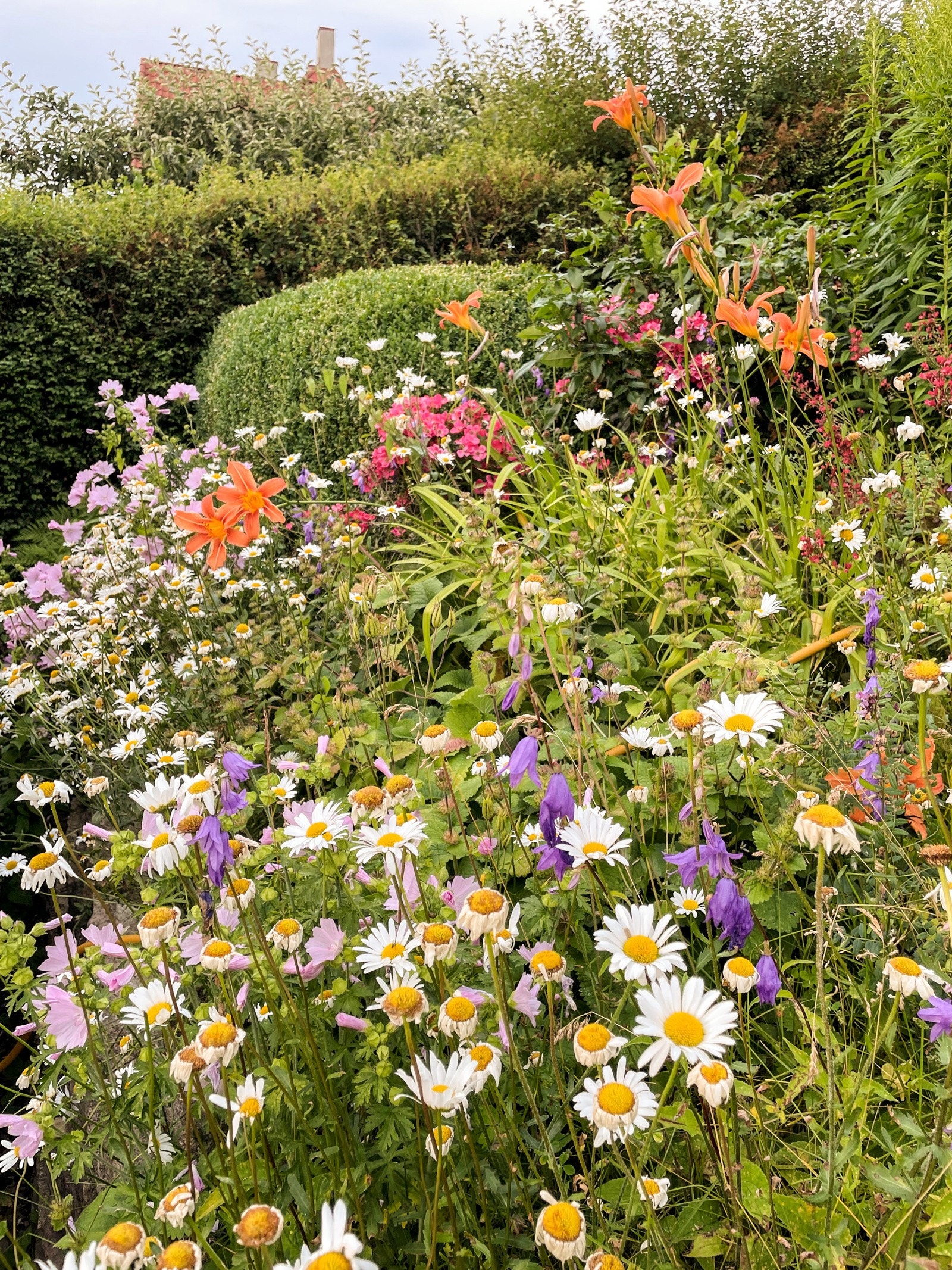 Sommeridyll | Selgers eget bilde. Galleribilde