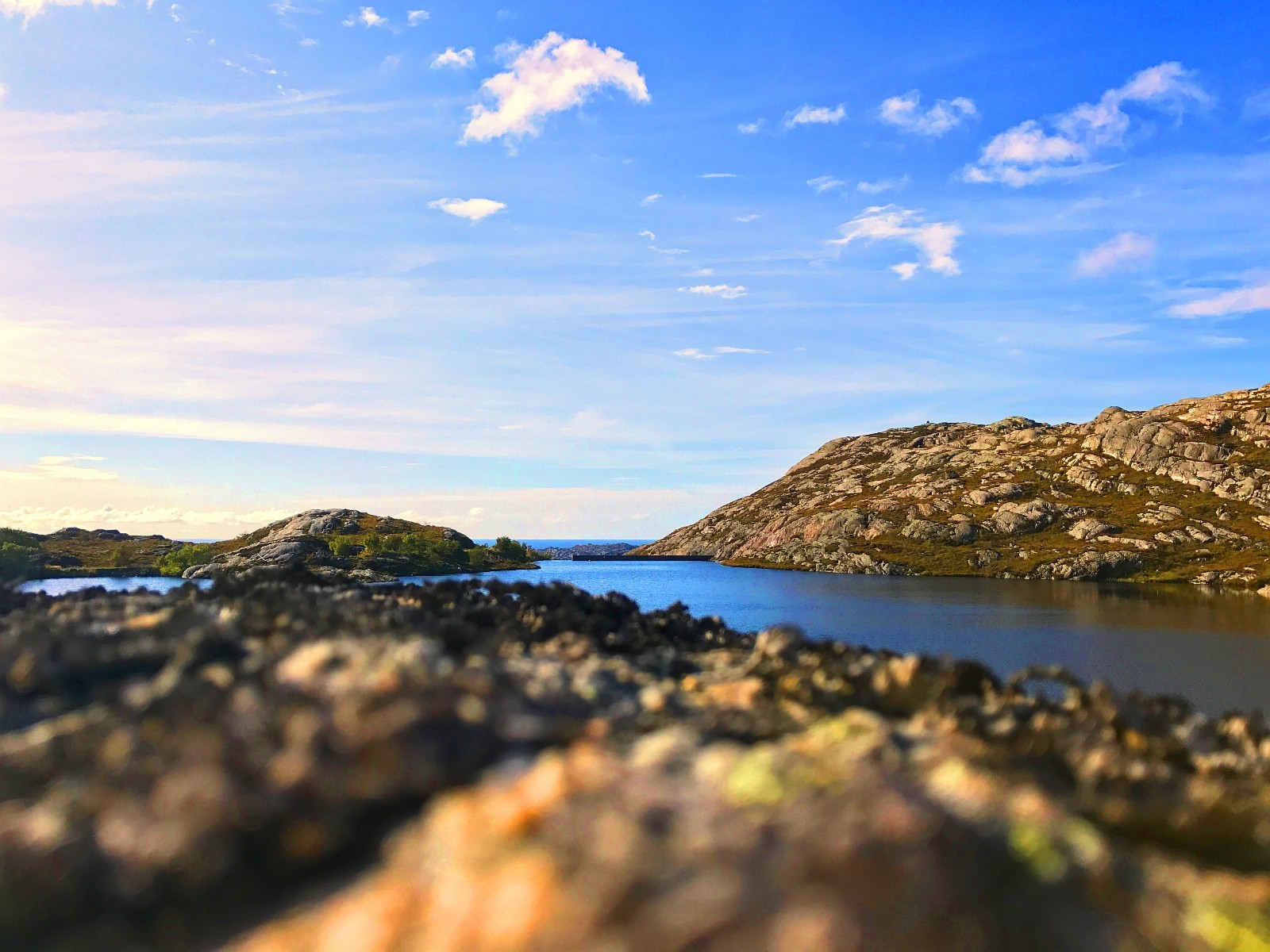 Signalfjellet like ved er et yndet og populært turområde med flotte utsiktspunkter.