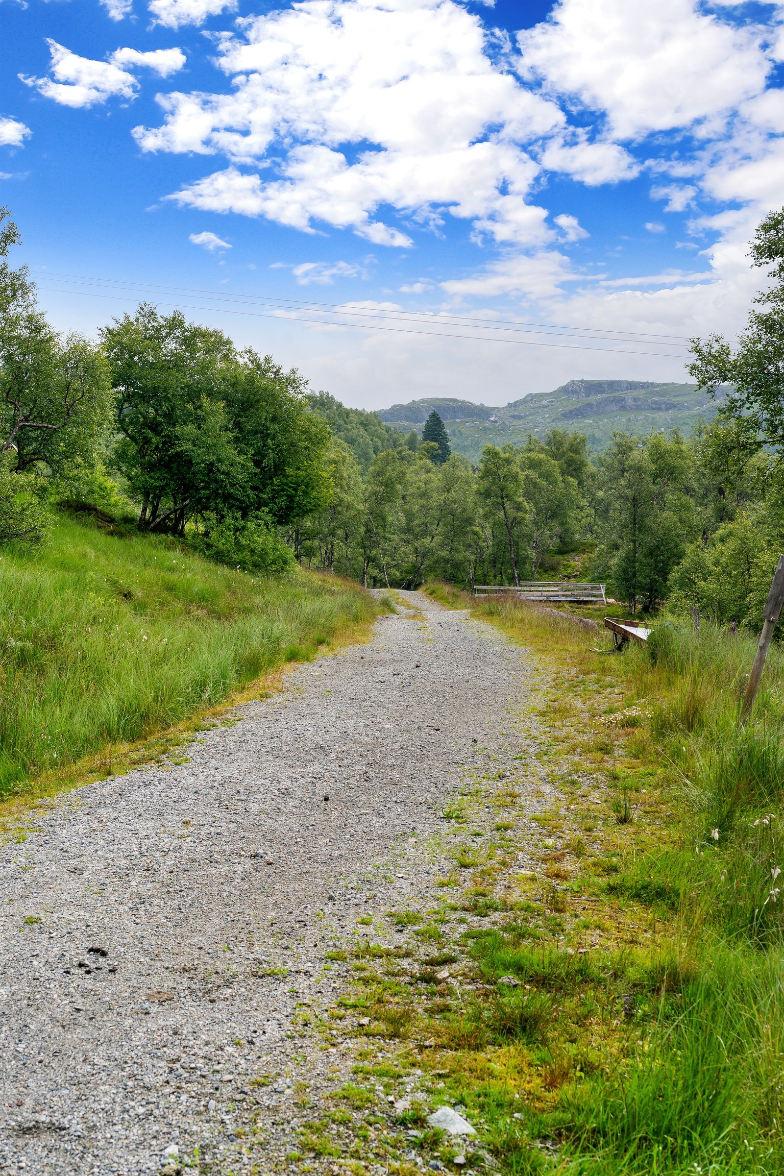 Uante turmuligheter sommer og vinter Galleribilde