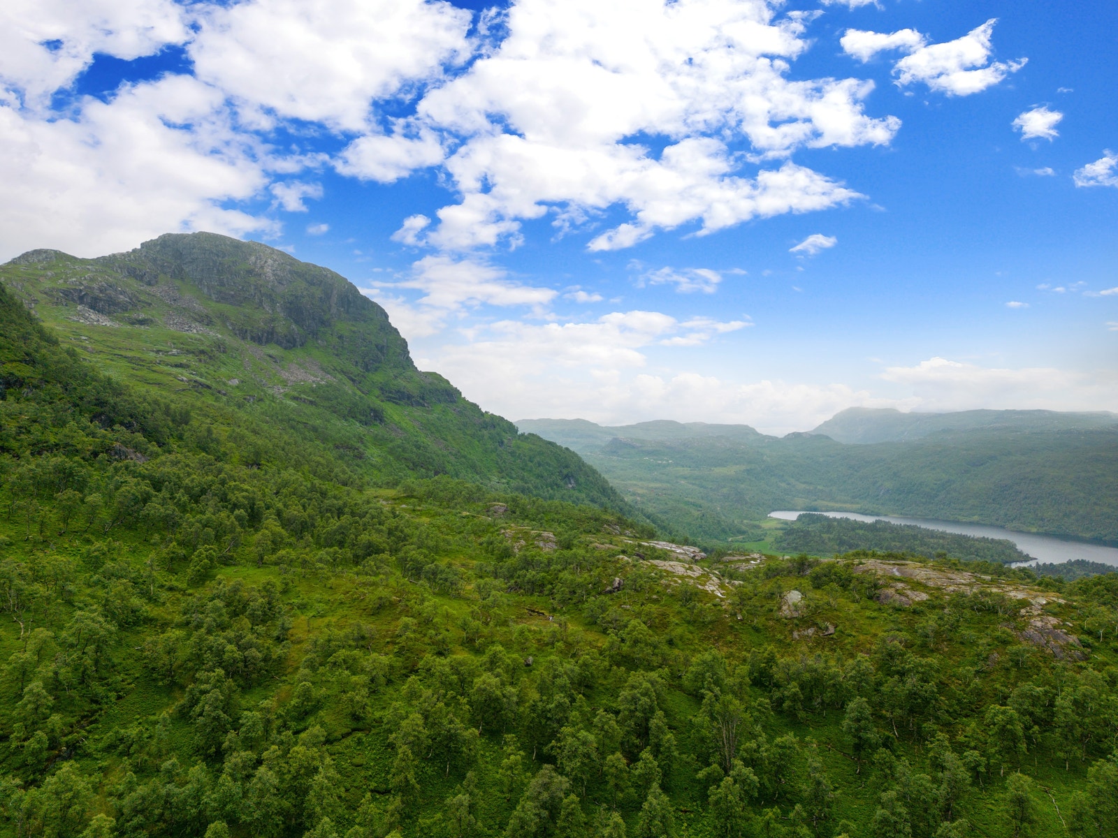 Gullingentoppen Galleribilde