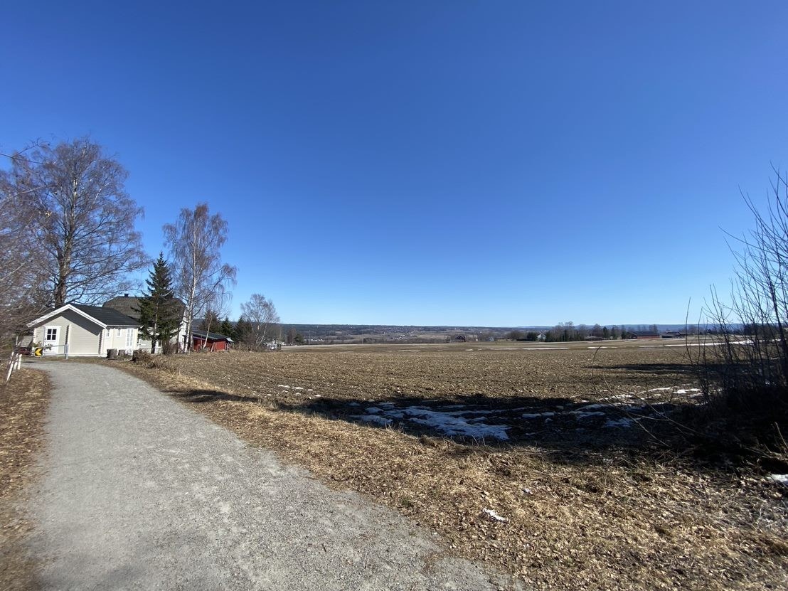 Bilde i fra nærområdet Galleribilde