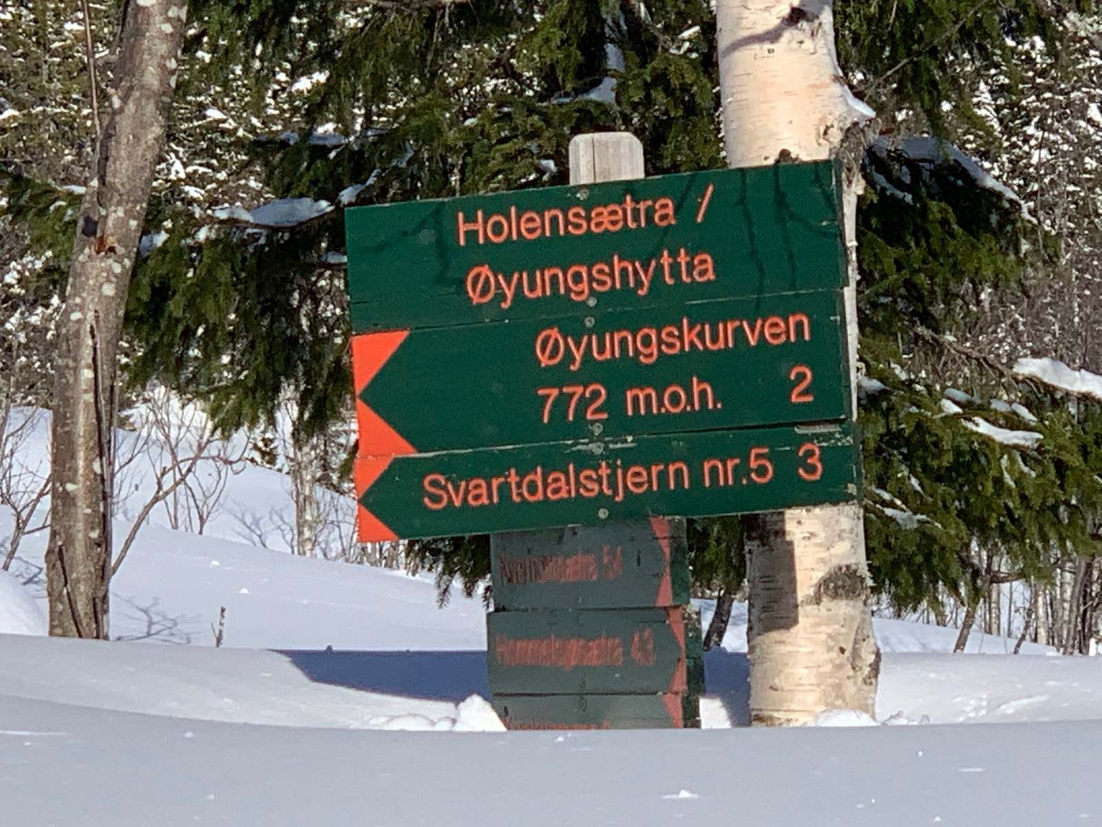 Totenåsen byr på milevis med skiløyper, turstier og godt fiske i vannene Galleribilde