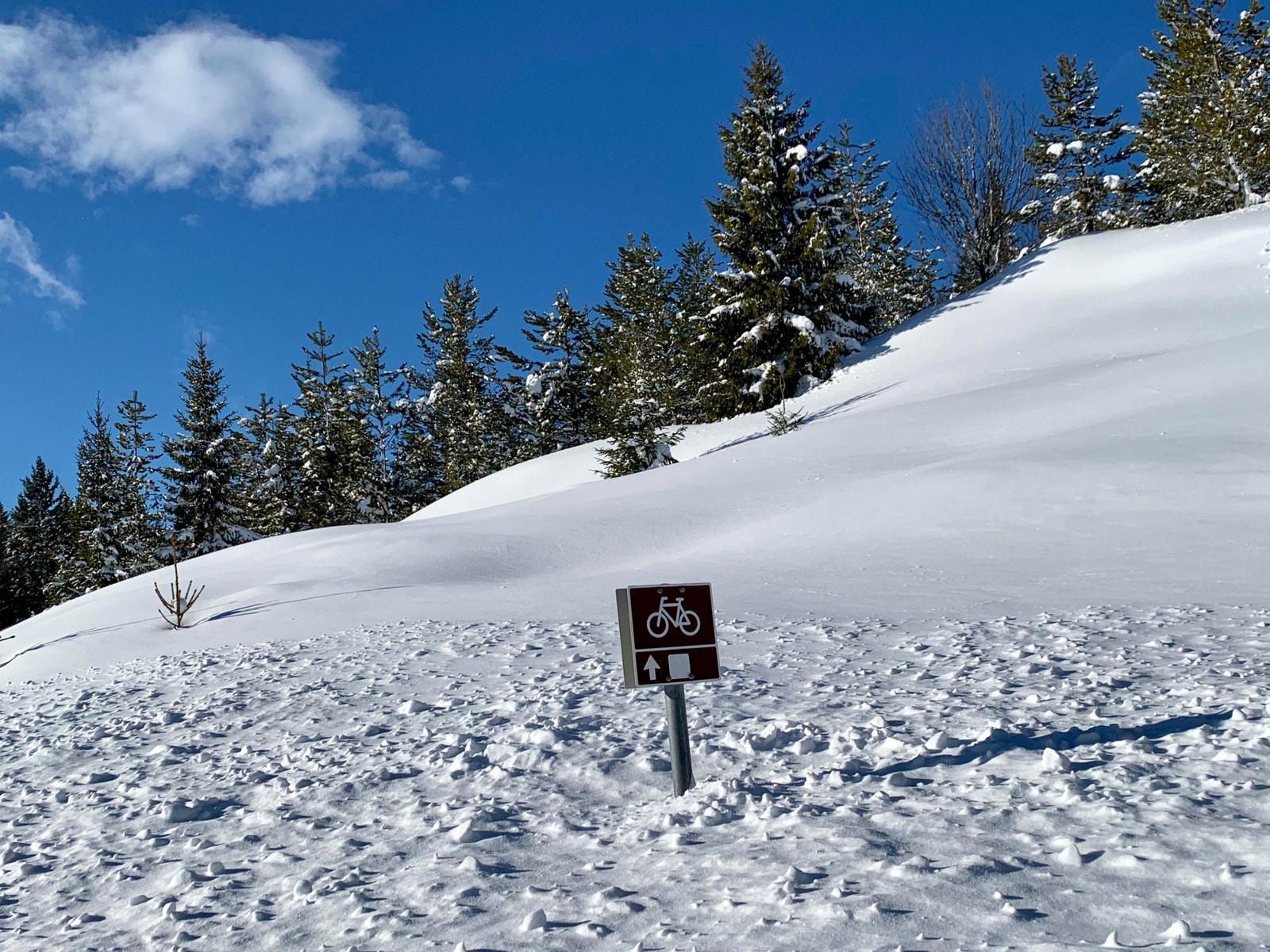 På sommers tid er det lagt godt til rette for deg som liker sykkelturer Galleribilde