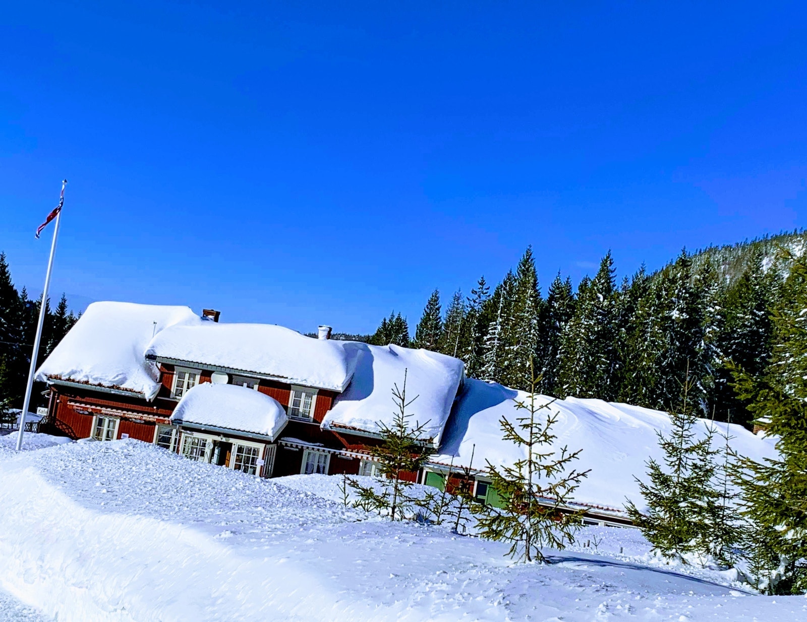 Fra Nybrenna er det kort vei til Torsætra hvor de deiligste retter trylles frem av lokale råvarer Galleribilde