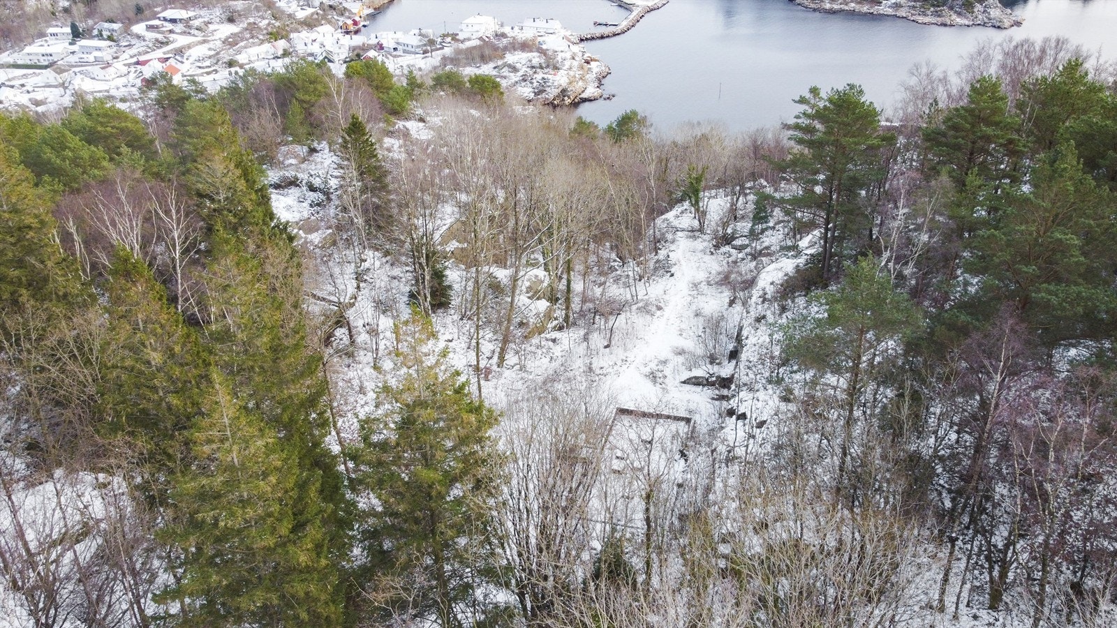 Fra tomten og ned mot Åvik Galleribilde