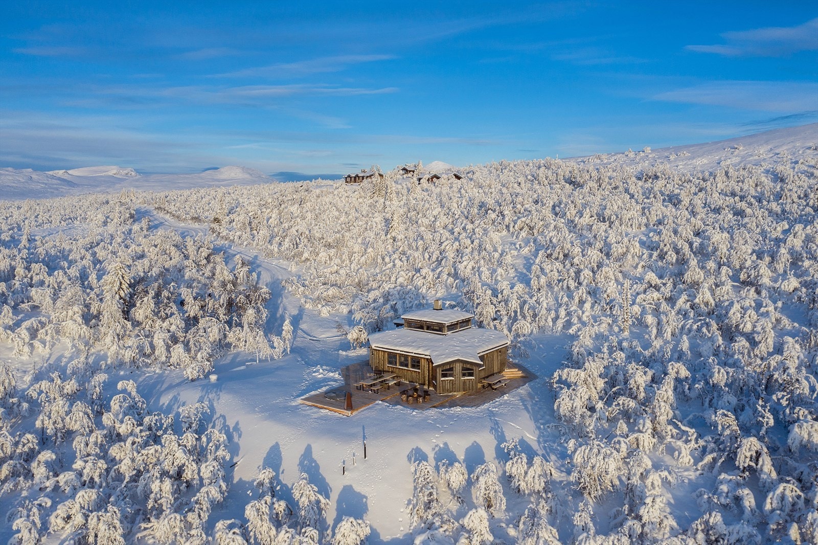 Penere blir det vel ikke?! Galleribilde