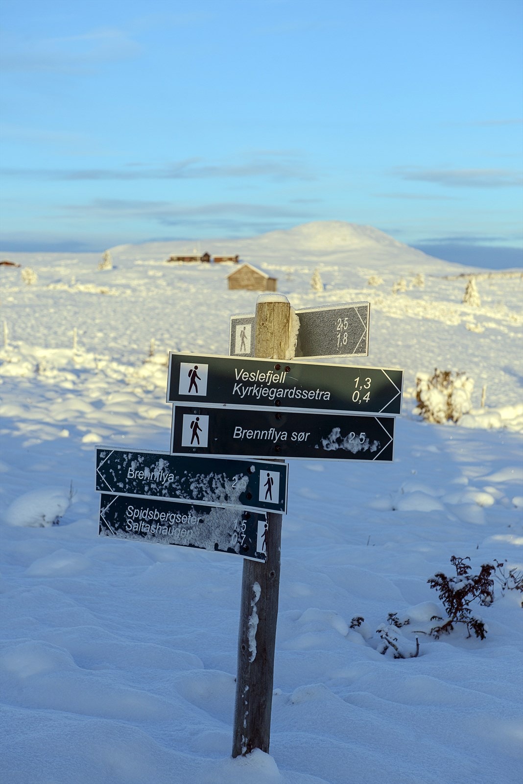 Fra hytta er det kort vei til Spidsbergseter Resort Rondane som byr på både deilig matservering og bading. Galleribilde