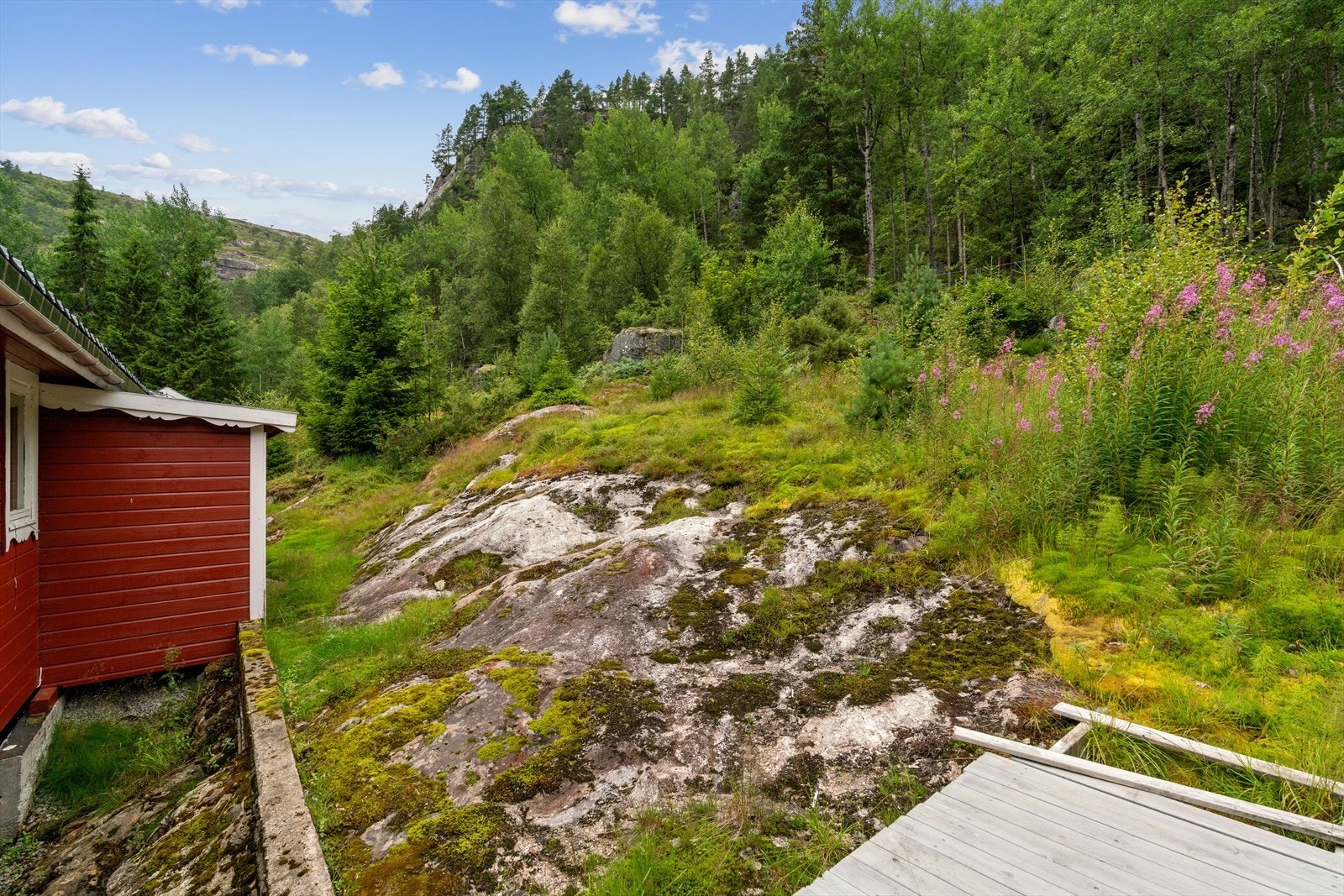 Området bak hytta består av naturtomt Galleribilde