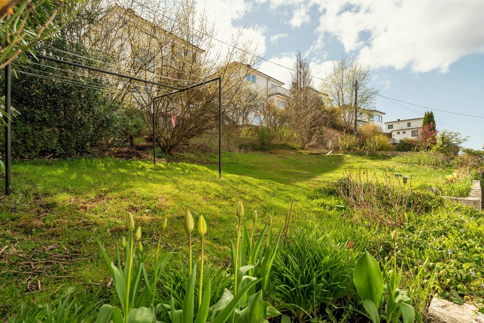 Nydelig og stor hage med gode solforhold som kan disponeres av alle beboerne. Galleribilde