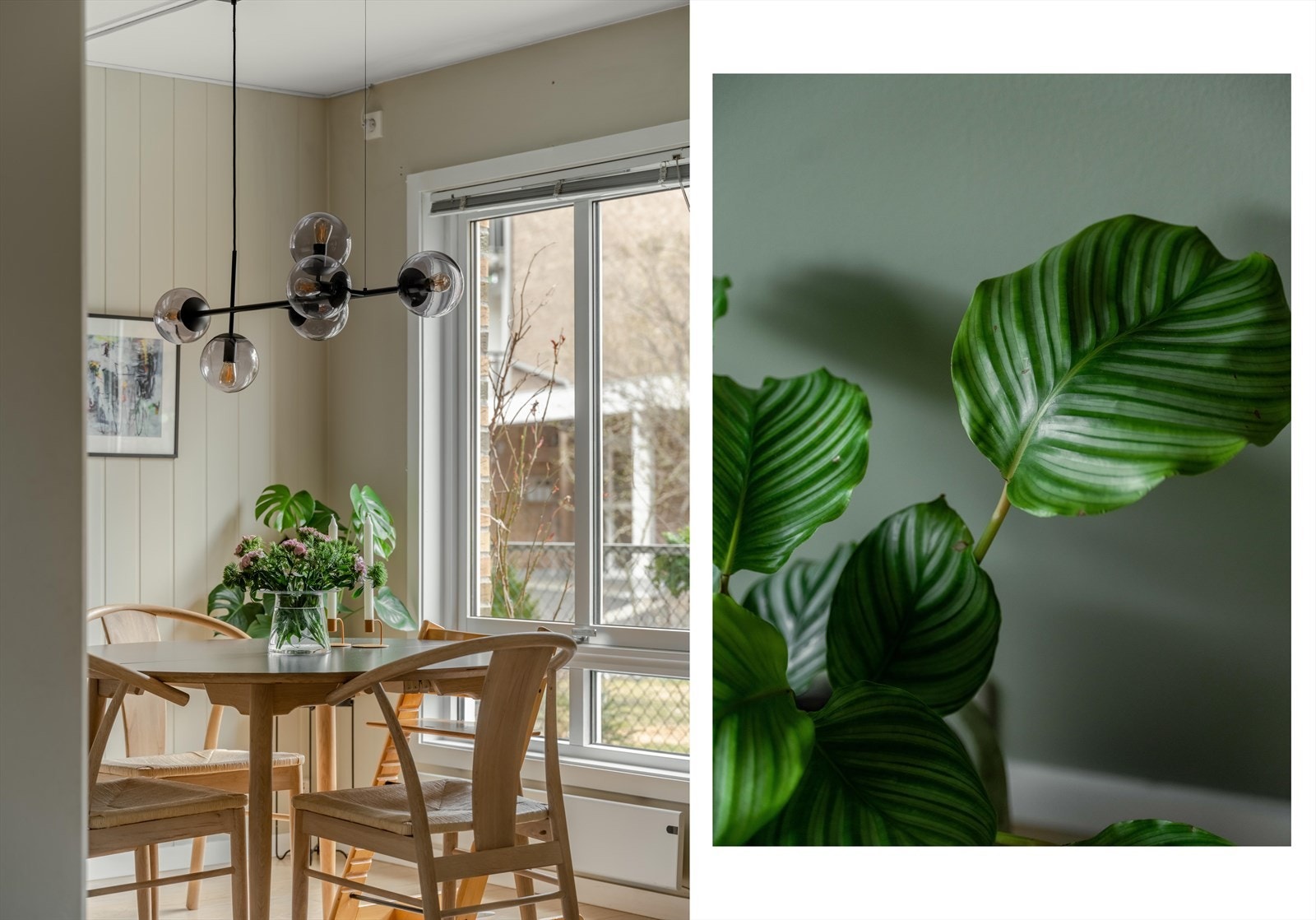 Om du enda ikke er overbevist moser vi til med et nærbilde av en plante. Galleribilde