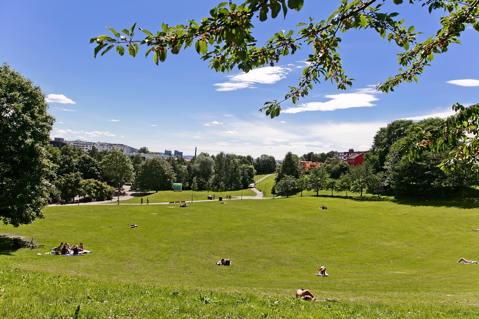 Denne parken er nærmeste nabo (nesten). Galleribilde