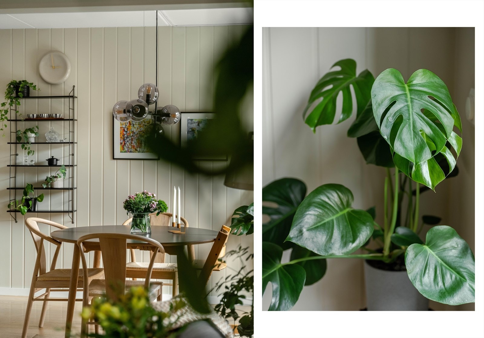 Sees vi? Galleribilde