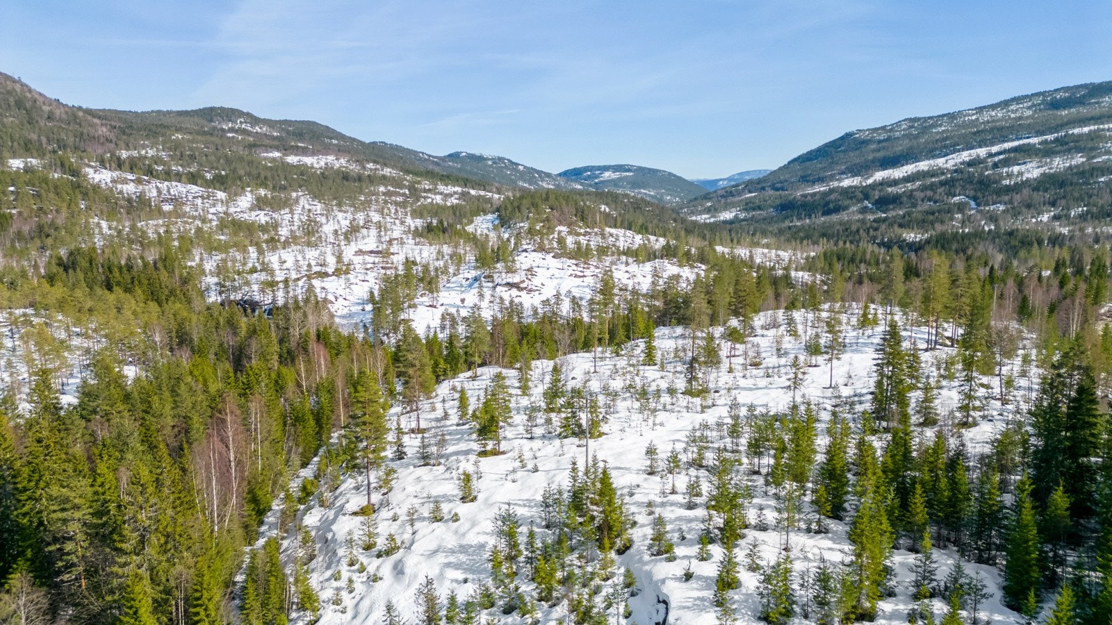 Eiendommen er regulert til fritidsbebyggelse med 35 hyttetomter Galleribilde