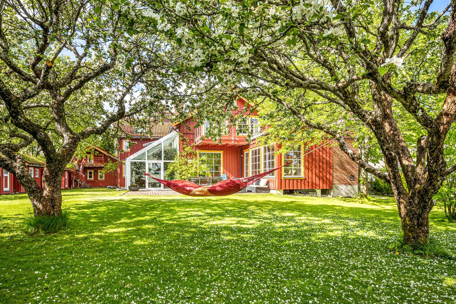 Bildet fra hagen mot boligen med de to gamle epletrærne i full blomstring. Galleribilde