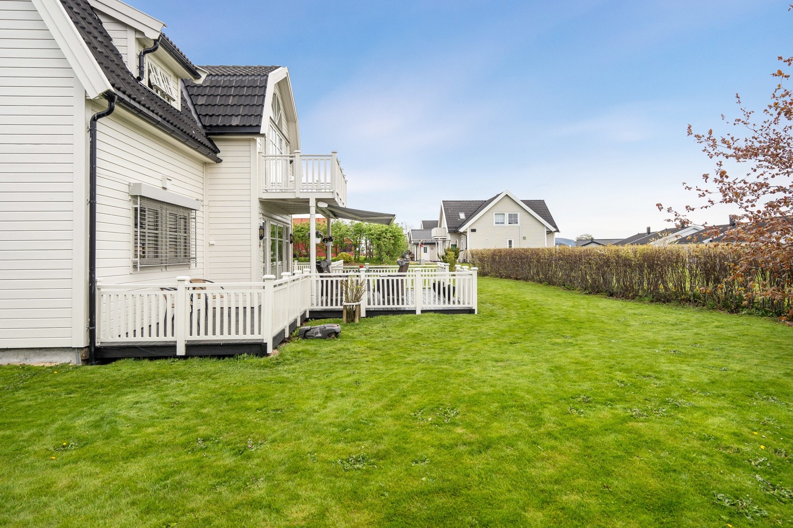 Hage (Bilde tatt i fjor sommer) Galleribilde