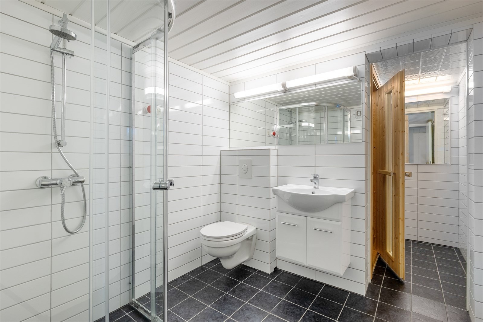 Badet i underetasjen ble renovert i 2013 og har adkomst til badstue. Galleribilde