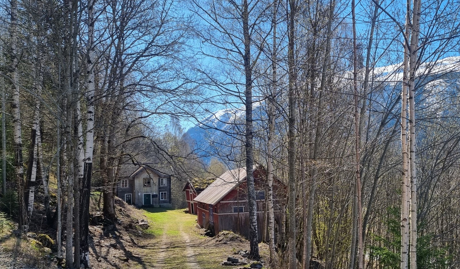 11_Skararudvegen 27 - Innkjørsel Galleribilde